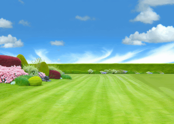 Čerstvo pokosený zelený trávnik pod modrou oblohou s kvetmi a upravenými živými plotmi.